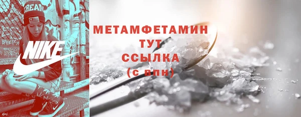 прущие грибы Надым