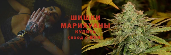 PSILOCYBIN Корсаков