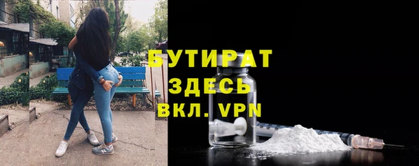 прущие грибы Надым