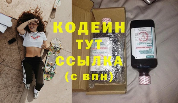 PSILOCYBIN Корсаков