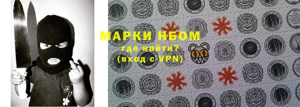 прущие грибы Надым