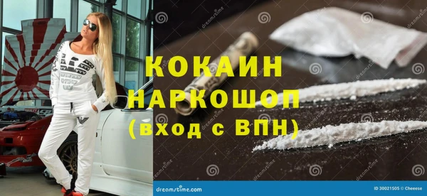 прущие грибы Надым