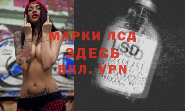 прущие грибы Надым