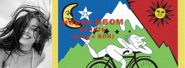 прущие грибы Надым